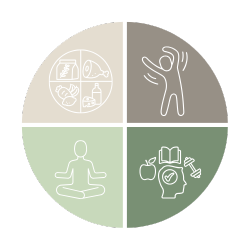 Das vollständige 4Level Gesundheitscoaching